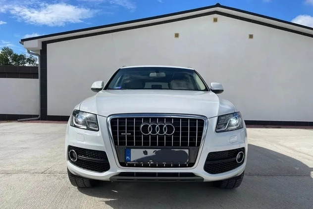 Audi Q5 cena 56500 przebieg: 267000, rok produkcji 2009 z Grójec małe 667